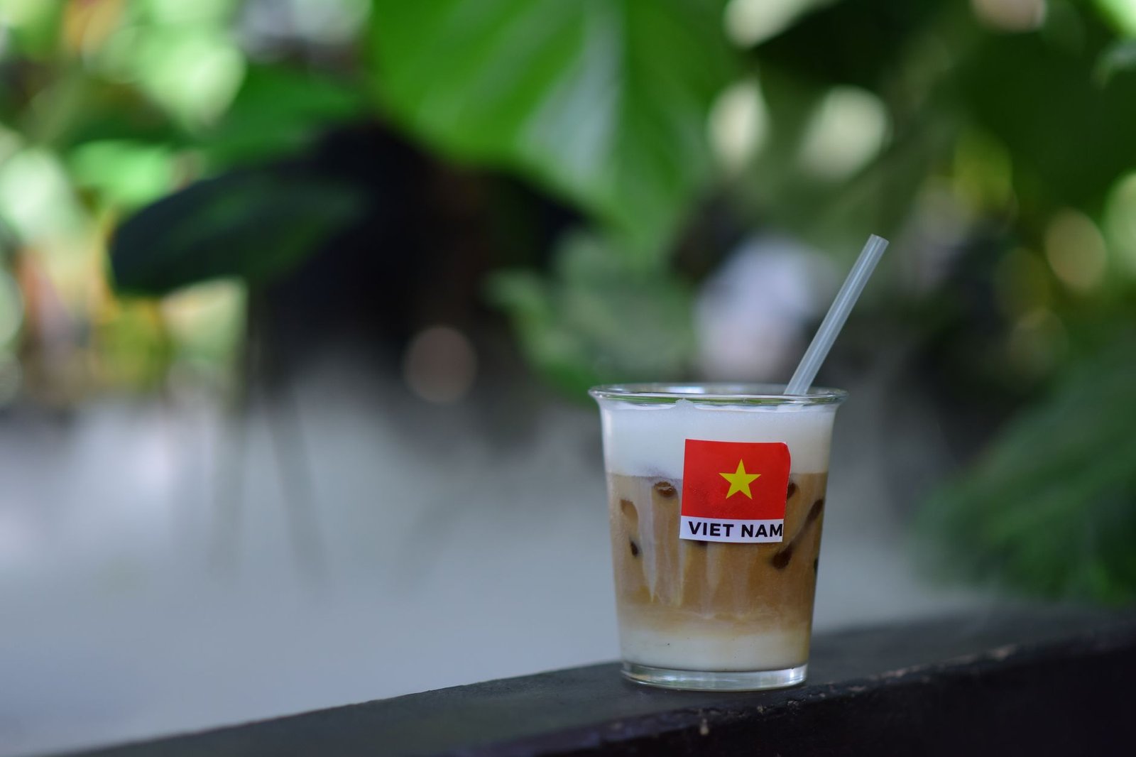 Sandwicherie VIET épicerie, cuisine Vietnamese à Montréal